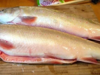 Bachsaibling an fruchtigem Linsensalat - Rezept - Bild Nr. 9