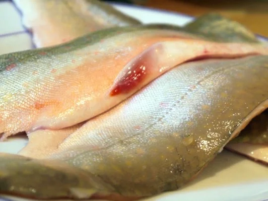 Bachsaibling an fruchtigem Linsensalat - Rezept - Bild Nr. 11