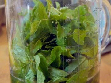 Limonana - Rezept - Bild Nr. 5