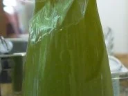 Limonana - Rezept - Bild Nr. 8