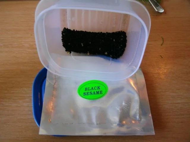 Fisch in Weißwein-Sahne Sauce mit Sesambratlingen - Rezept - Bild Nr. 11