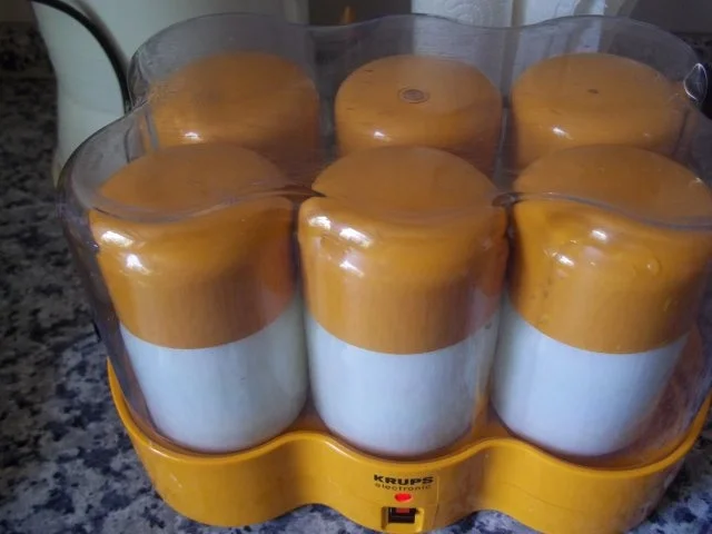 Rezept: milder selbsgemachter Joghurt Bild Nr. 5 milder selbsgemachter Joghurt - Rezept - Bild Nr. 5