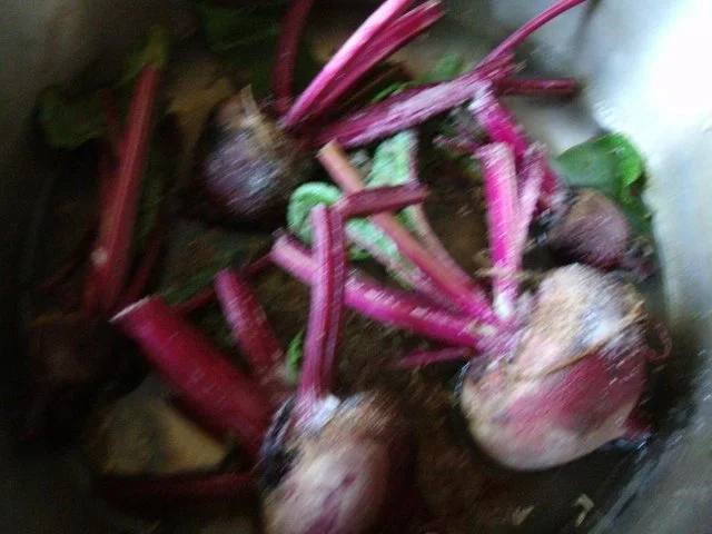 Rezept: Kasseler mit Rote Bete - Gemüse und Bohnen Bild Nr. 5 Kasseler mit Rote Bete - Gemüse und Bohnen - Rezept - Bild Nr. 5