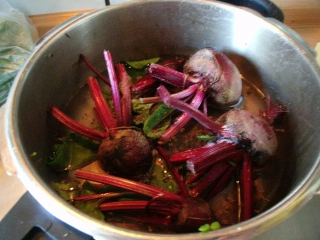 Rezept: Kasseler mit Rote Bete - Gemüse und Bohnen Bild Nr. 6 Kasseler mit Rote Bete - Gemüse und Bohnen - Rezept - Bild Nr. 6