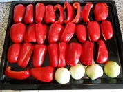 Scharfe Paprikasauce - Rezept