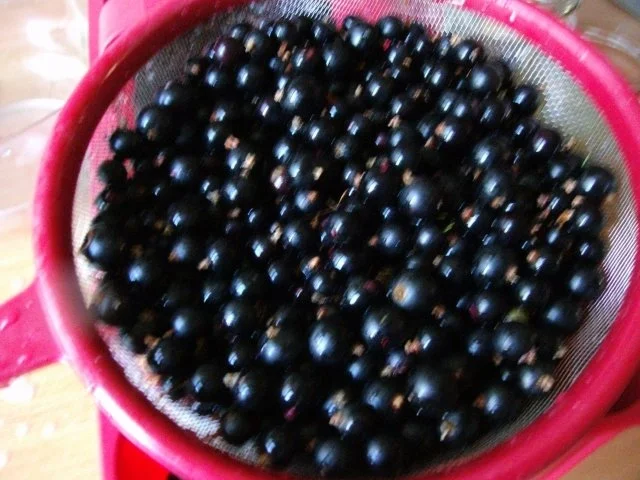 schwarze Johanna - Rezept - Bild Nr. 3