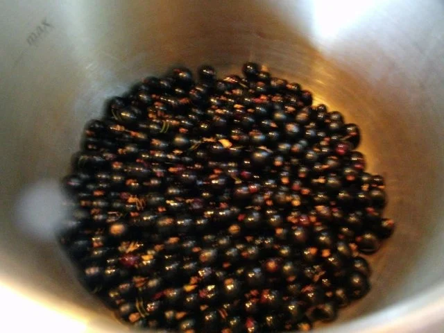 schwarze Johanna - Rezept - Bild Nr. 4