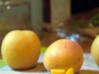 Rezept: Büffelmozzarella auf geröstetem Brot mit einer Salsa aus Aprikosen, Tomaten und Melone Bild Nr. 2 Büffelmozzarella auf geröstetem Brot mit einer Salsa aus Aprikosen, Tomaten und Melone - Rezept - Bild Nr. 2