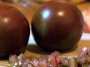 Rezept: Büffelmozzarella auf geröstetem Brot mit einer Salsa aus Aprikosen, Tomaten und Melone Bild Nr. 3 Büffelmozzarella auf geröstetem Brot mit einer Salsa aus Aprikosen, Tomaten und Melone - Rezept - Bild Nr. 3