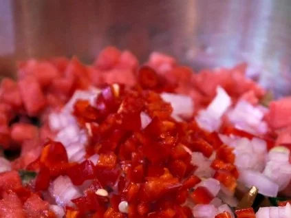 Rezept: Büffelmozzarella auf geröstetem Brot mit einer Salsa aus Aprikosen, Tomaten und Melone Bild Nr. 6 Büffelmozzarella auf geröstetem Brot mit einer Salsa aus Aprikosen, Tomaten und Melone - Rezept - Bild Nr. 6