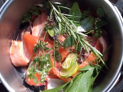 Pasta mit Salm   ( Lachs ) - Rezept - Bild Nr. 7