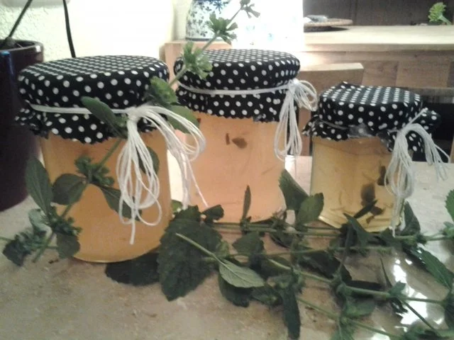 Limette- Grapefruit- Gelee - Rezept