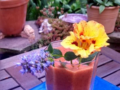 Rezept: Smoothie / Daiquiri / Frozen Drink / Froop Smoothie / Daiquiri / Frozen Drink / Froop - Rezept