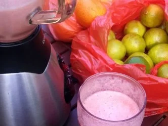 Rezept: Smoothie / Daiquiri / Frozen Drink / Froop Bild Nr. 10 Smoothie / Daiquiri / Frozen Drink / Froop - Rezept - Bild Nr. 10