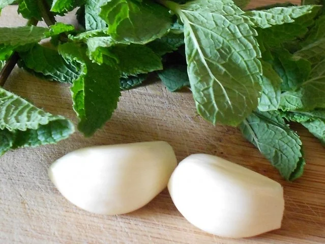 Griechischer Auflauf mit Zucchini und Schafskäse - Rezept - Bild Nr. 4