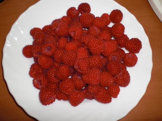 Rezept: Raffaello-Himbeer-Torte Bild Nr. 23 Raffaello-Himbeer-Torte - Rezept - Bild Nr. 23