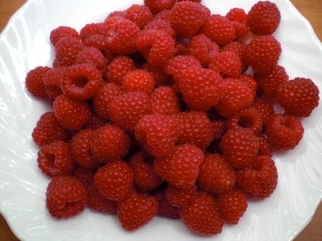 Rezept: Raffaello-Himbeer-Torte Bild Nr. 24 Raffaello-Himbeer-Torte - Rezept - Bild Nr. 24