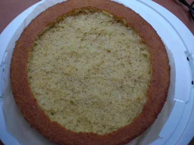 Rezept: Raffaello-Himbeer-Torte Bild Nr. 25 Raffaello-Himbeer-Torte - Rezept - Bild Nr. 25