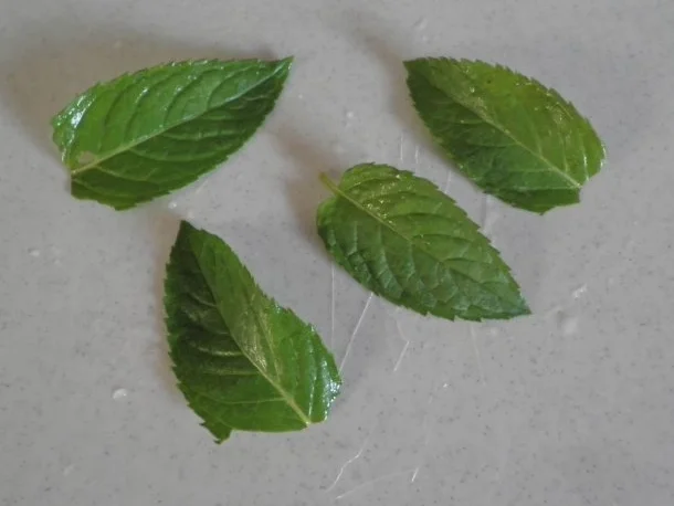 Rezept: Sommerfrische ... Bild Nr. 4 Sommerfrische ... - Rezept - Bild Nr. 4