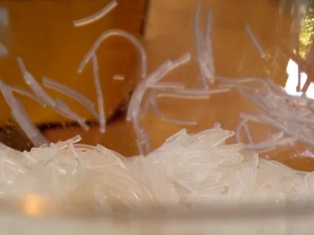 Thailändischer Glasnudelsalat - Rezept - Bild Nr. 9