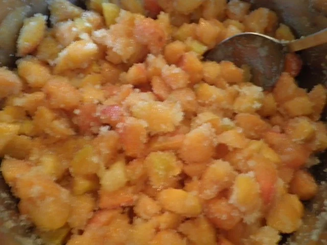 Rezept: Aprikosenkonfitüre mit Schwips Bild Nr. 6 Aprikosenkonfitüre mit Schwips - Rezept - Bild Nr. 6