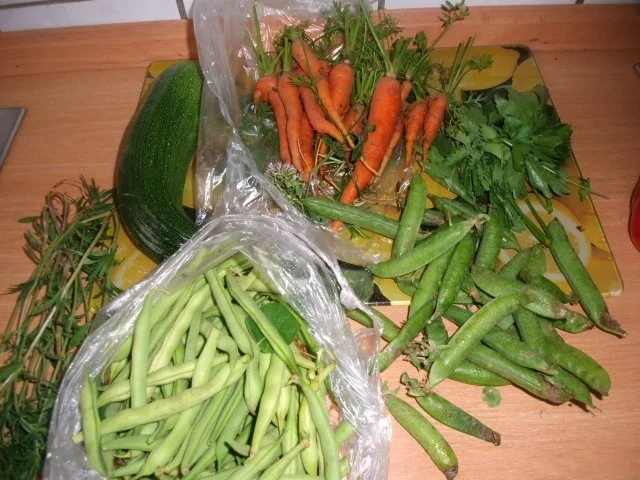 Rezept: Gemüse Knoblauch -Spaghetti Bild Nr. 6 Gemüse Knoblauch -Spaghetti - Rezept - Bild Nr. 6