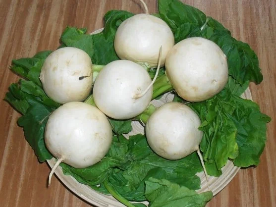 Gefüllte Mairübchen - Rezept - Bild Nr. 3