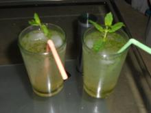 Limonana Israelische Minz- Limonade - Rezept