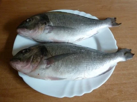 Dorade im Päckchen - Rezept