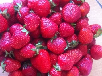 Sommerlicher Salat mit Erdbeeren - Rezept - Bild Nr. 2