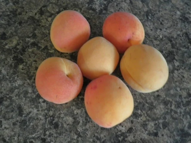 Rezept: Sommerlicher Obstsalat Bild Nr. 3 Sommerlicher Obstsalat - Rezept - Bild Nr. 3