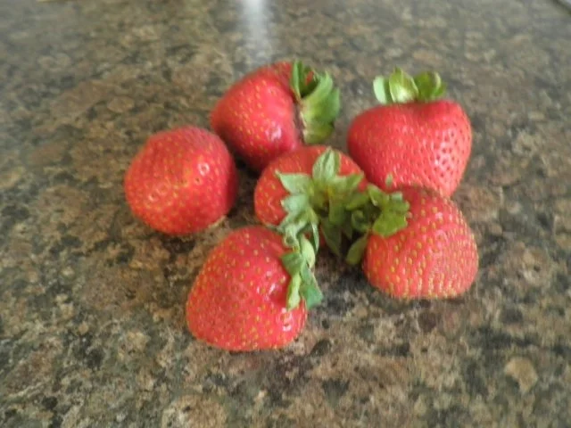 Rezept: Sommerlicher Obstsalat Bild Nr. 4 Sommerlicher Obstsalat - Rezept - Bild Nr. 4