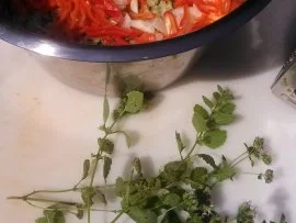 Zucchini Fritters oder Zucchini Krapfen   ( Eggless ) - Rezept - Bild Nr. 5