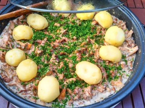 Pfifferlinge in Rahm mit Pellkartoffeln - Rezept