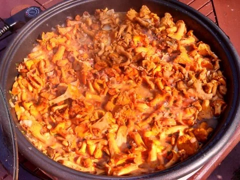 Pfifferlinge in Rahm mit Pellkartoffeln - Rezept - Bild Nr. 2