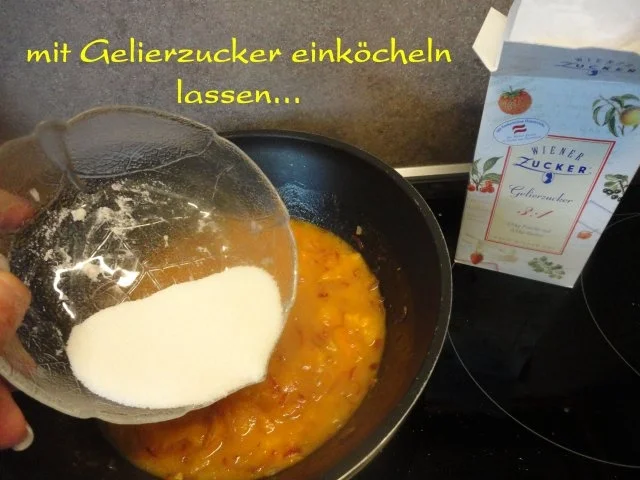 Marillen / Aprikosen Chutney - Rezept - Bild Nr. 12