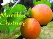 Marillen / Aprikosen Chutney - Rezept