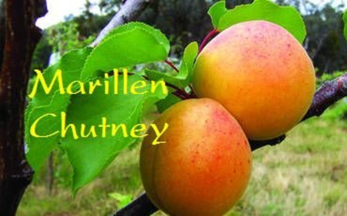 Bilder für Marillen / Aprikosen Chutney - Rezept