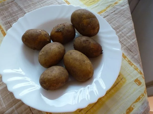 Würziges Kohlrabigemüse nach Oma,s Art, nur anders - Rezept - Bild Nr. 13