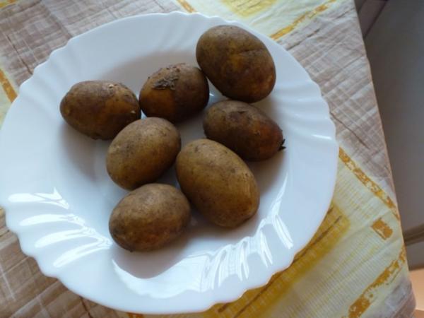 Würziges Kohlrabigemüse nach Oma, s Art, nur anders - einfach - von Test00