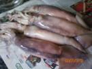 Rezept: Fisch: Kalmare gegrillt Fisch: Kalmare gegrillt - Rezept