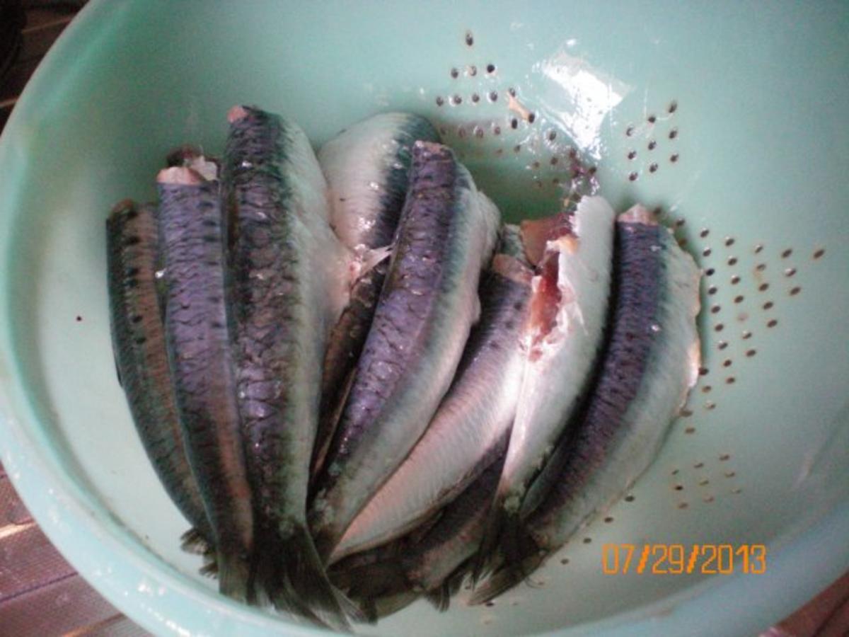 Fisch: Sardellen gegrillt - Rezept - Bild Nr. 2
