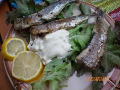 Rezept: Fisch: Sardellen gegrillt Fisch: Sardellen gegrillt - Rezept