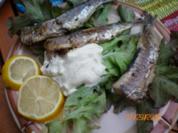 Fisch: Sardellen gegrillt - Rezept