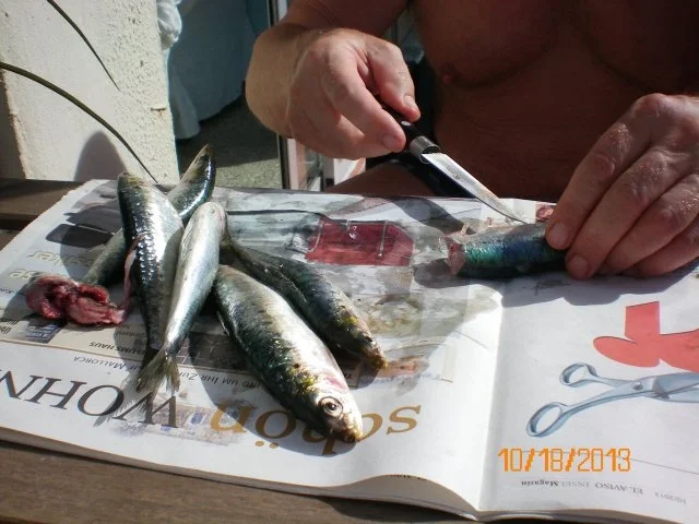 Fisch: Sardellen gegrillt - Rezept - Bild Nr. 4