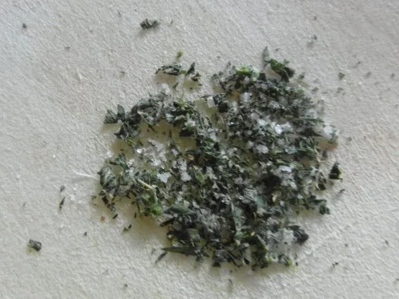 Schweine-Geschnetzeltes mit Champignons und frischen Kräütern - Rezept - Bild Nr. 2