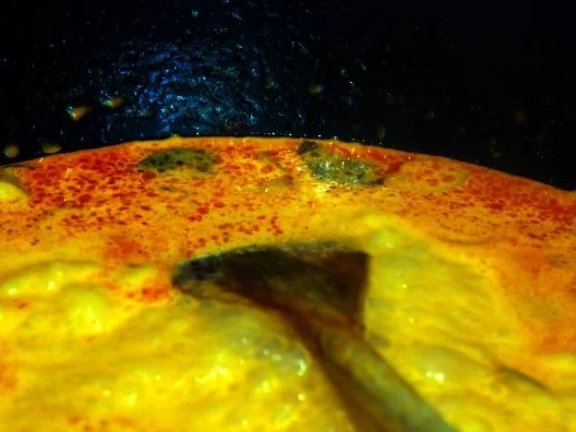 Rezept: Rindergeschnetzeltes mit Kräuterseitlingen und Vollkorn-Basmati-Reis Bild Nr. 12 Rindergeschnetzeltes mit Kräuterseitlingen und Vollkorn-Basmati-Reis - Rezept - Bild Nr. 12