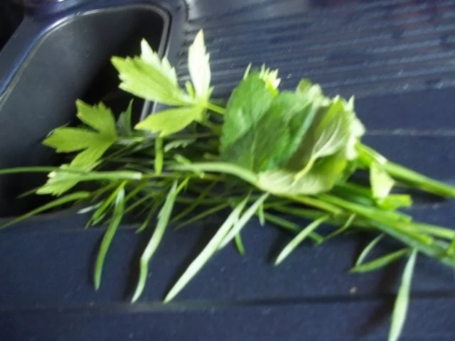 Radieschen-Apfel-Salat mit Joghurt-Dressing - Rezept - Bild Nr. 2