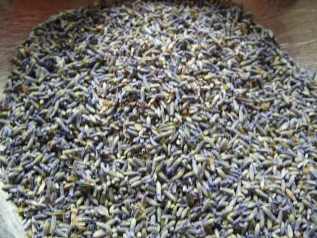 Vorrat: Lavendelzucker - Rezept - Bild Nr. 2