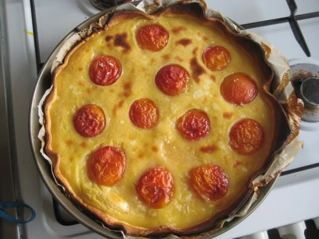 Rezept: Aprikosen Tarte Bild Nr. 8 Aprikosen Tarte - Rezept - Bild Nr. 8